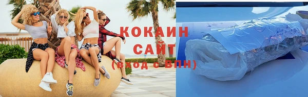 стаф Липки