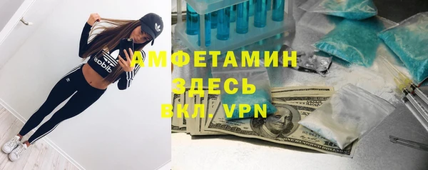 МДПВ Алзамай