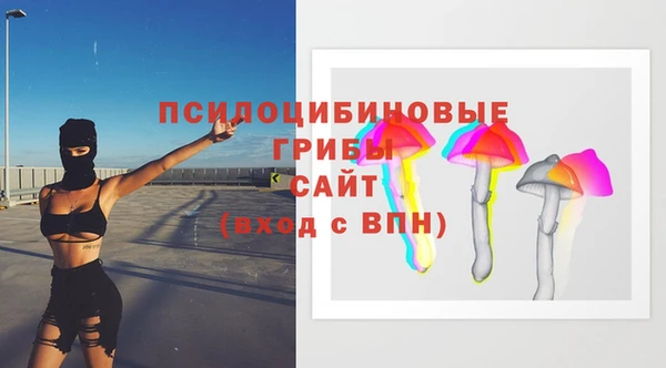 сатива Алексеевка