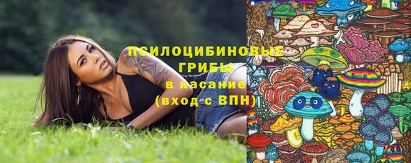 сатива Алексеевка
