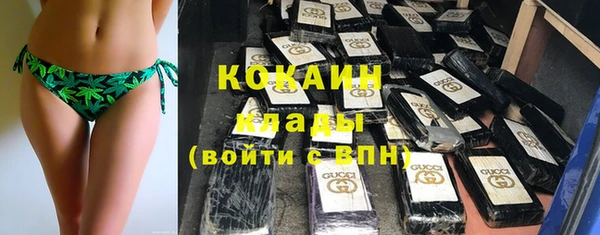 сатива Алексеевка